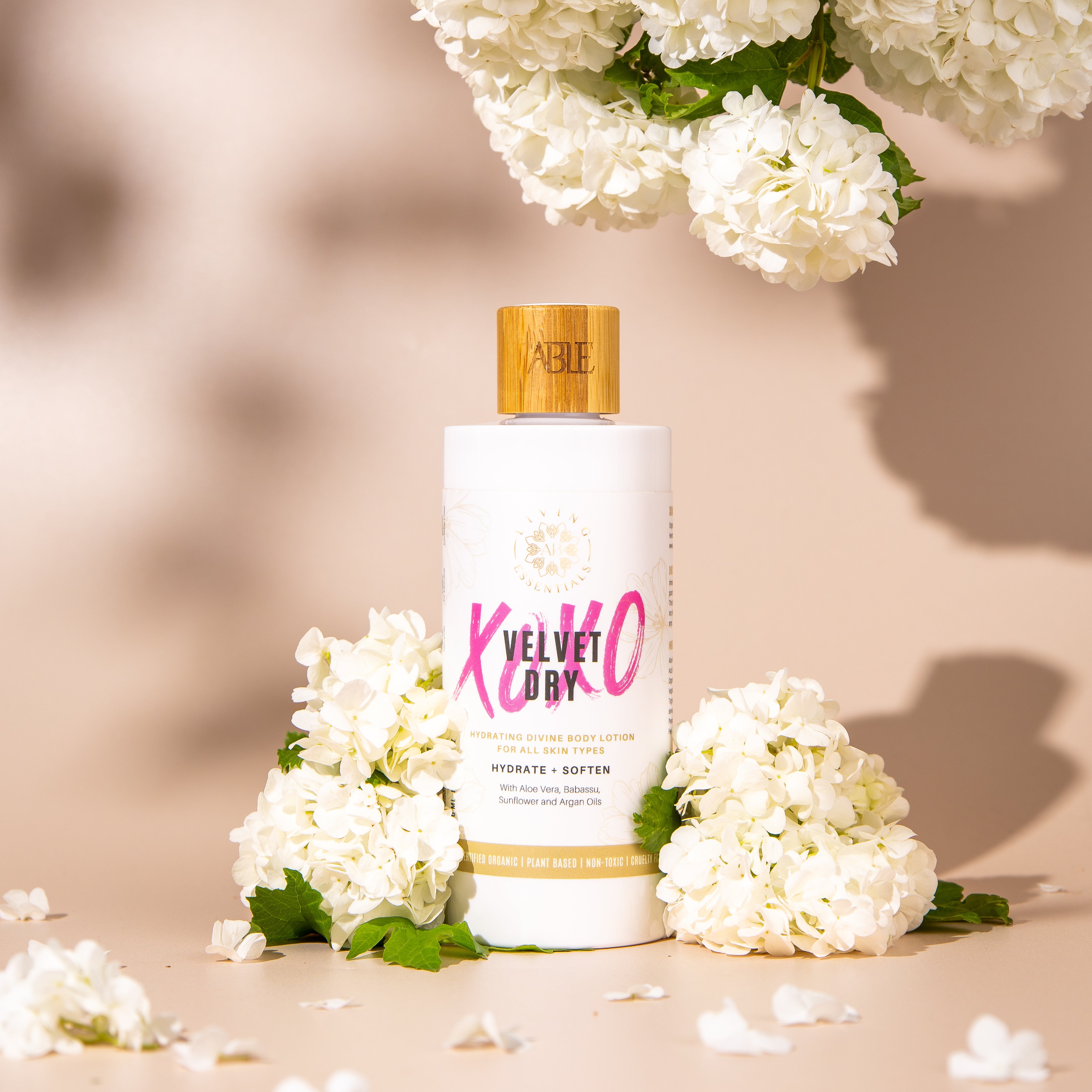 Divine Body Lotion: Velvet Dry